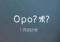 oppo手机屏幕锁忘了怎么办？解锁方法有哪些？