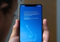 苹果手机看视频蓝屏然后重启是怎么回事啊