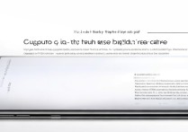 vivox9plus闪拍怎么用