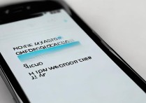 vivo xplay怎么升级