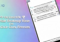 vivo 刷机包怎么刷入，vivo 手机刷机教程下载