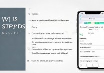 苹果电话dns怎么设置？详细教程步骤是什么？