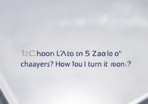 iqoo z5有变声器功能吗？怎么打开变声器？