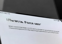 苹果X手机卡画面了怎么强制关机