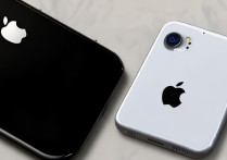 苹果7黑色跟白色的东西是怎么回事啊