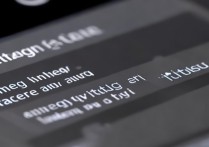 苹果电量比怎么设置