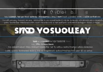 vivo手机没电开不了机，该怎么解决？