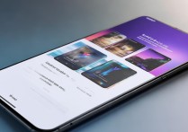 vivo网站