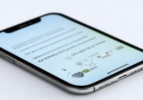 苹果应用怎么下载不了软件怎么回事啊