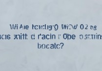 vivox9plus恢复出厂设置会丢失数据吗？