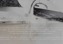 华为应用自动启动不了怎么办？解决方法在这里！