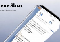 vivox6splus怎么分屏，vivox6splus支持分屏功能吗