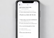 苹果11怎么设置volte通话？详细步骤看这里！