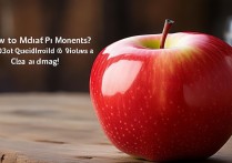 苹果照片时刻怎么修改？30字疑问长尾标题生成