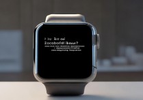 小米Watch S1 Pro能测体温吗？实测体温功能准确吗？