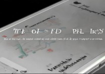 苹果手机内视频无法播放，如何正确下载保存？