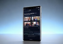 小米13 Pro腾讯视频最多几个人同时在线观看？