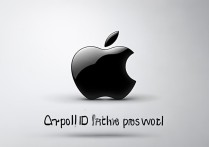 apple id密码是什么意思