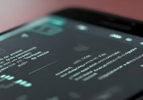 vivox3t微信小视频没声音是什么原因啊？