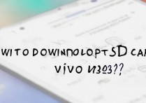 vivoy623怎么下载不到sd卡上，为什么无法存储到SD卡