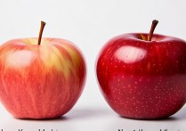 如何准确辨别苹果手机是否为港版？