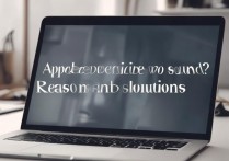 苹果放视频没声音怎么办？苹果设备视频无声原因及解决方法