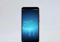 vivoxplay6怎么上网