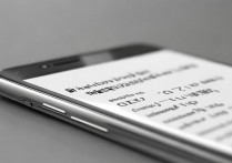 vivoz5王者荣耀怎么关，王者荣耀关闭麦克风方法