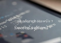 怎么查华为第二个系统