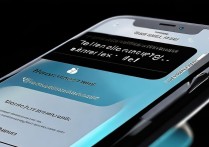 苹果怎么换网络