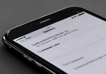 苹果6手机系统字体怎么调大？30字内疑问长尾标题