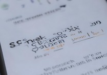 vivox9l怎么切换流量？vivox9l怎么切换卡2流量上网