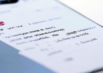 华为手机应用软件被禁止数据联网怎么办