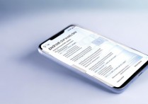 vivo手机如何精准控制各应用流量网速？