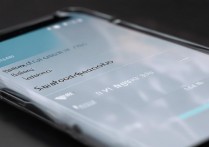 vivox7怎么调字体颜色，vivox7字体颜色在哪里设置