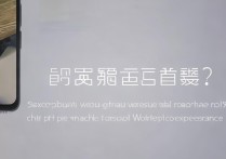 魅族18x跑分多少？性能跑分与实际体验详解