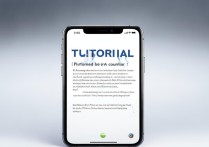 苹果手机冻屏怎么办