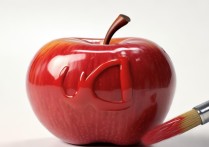 苹果标志掉漆了，自己动手修复可行吗？