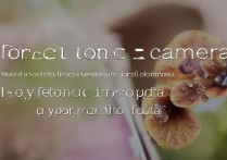 华为p10相机怎么聚焦