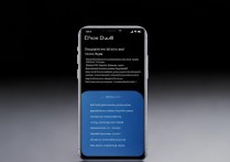 vivox6plusd如何开启双4G网络功能？