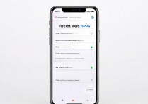 苹果手机下载过的软件 app 记录怎么删除，如何彻底删除已卸载应用记录