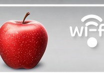 苹果无法连接wifi是怎么回事？苹果连不上wifi怎么办