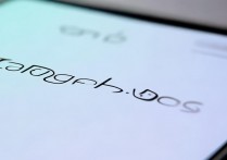 oppo手机后台权限怎么开?后台运行应用开启教程