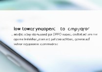 不是oppo手机怎么下载oPPo钱包