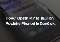 怎么在苹果手机打开mp3