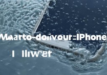 手机掉水里怎么办苹果？苹果手机进水如何正确处理