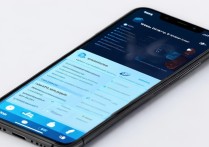 vivo手机软件怎么加密