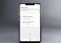 小米手机声音突然变小