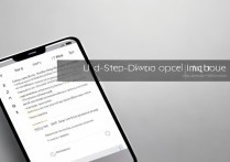 小米怎么关闭开发者模式