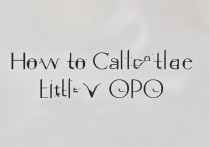 oppo小v是哪个系列手机的昵称？